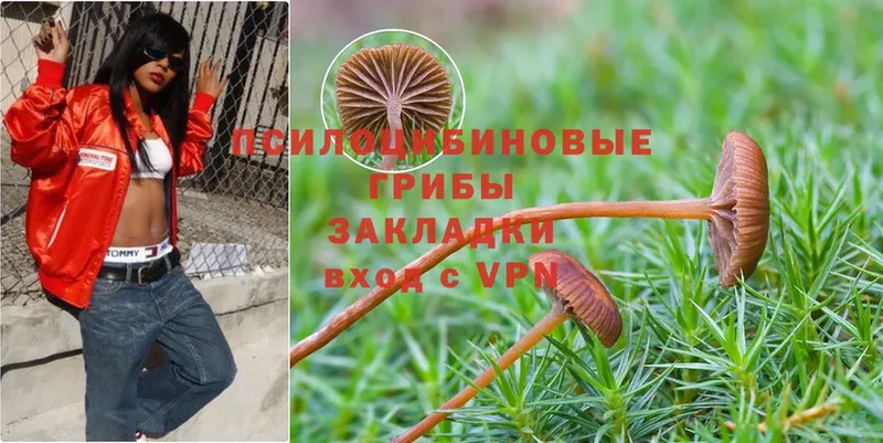 Псилоцибиновые грибы MAGIC MUSHROOMS  Уфа 